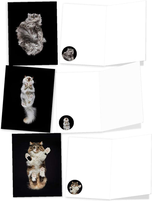 The Best Card Company - 20 Adorable Cat Greeting Cards (4 x 5.12 Inch) - Blank Assortment (10 Designs, 2 Each)