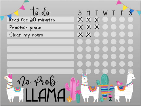 Kid’s Dry Erase Whiteboard Chore Chart with Removable Adhesive Decal, Fine-Tip Magnetic Marker Included, 9” x 12”