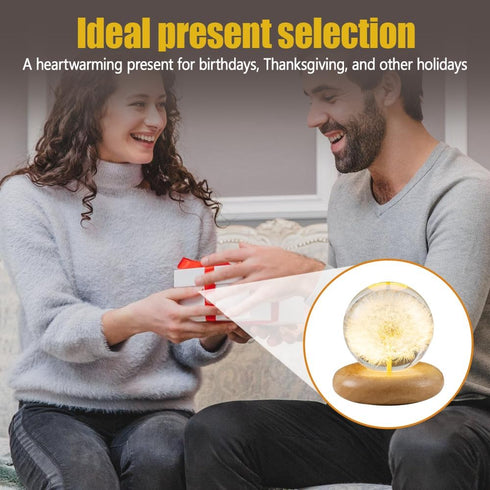 DONGKER Daisy Decor Night Light,Dandelions Crystal Ball Light with Wooden Base & Resin Cover for Valentine's Day