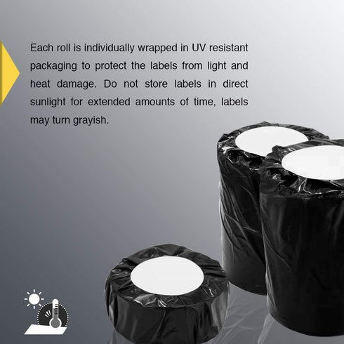 BETCKEY 4" x 6" Shipping Labels, Compatible with Zebra & Rollo Label Printer (1 Roll, 250 Labels)
