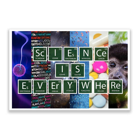 Classroom Poster Science is Everywhere, Unique Posters for Classrooms, 12-Inch by 18-Inch, Science Class Posters