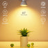 GU10 LED Light Bulbs, 5W 500LM, 3000K Warm White, Dimmable MR16 Replacement for Recessed Lighting, 6 Pack