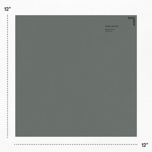 BACKDROP | Premium Interior Paint | Large Adhesive Paint Swatch | SILVER LAKE DAD - Slate Blue Gray | 12" x 12" Color