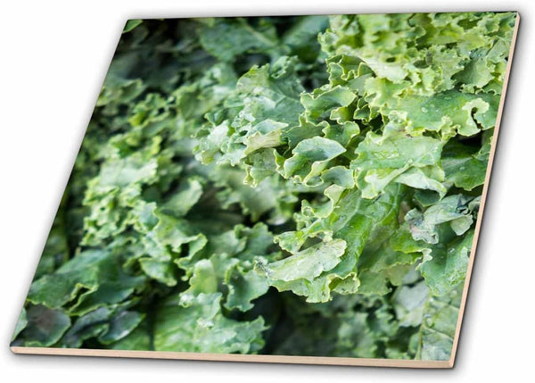 3dRose Kale for Sale at a Farmers Market, Charleston, South Carolina. USA