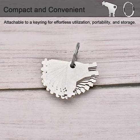 iNopt Set, (Sliver-5pcs) Paper Towel and Toilet Paper Dispenser Key Universal Key Compatible for Georgia Pacific