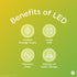 Bulbs A19 Bulbs (2 Pack) GE LED+ Color Changing LED Light with Remote, No App or Wi-Fi Required, Standard