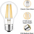 2 Pack 12 Volt Edison Bulb E26, 12V LED Warm White 2700K 60W Equivalent, Low Voltage Vintage A19 Bulbs