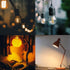 Achbeah Non-Dimmable 60W g16.5 Bulb E26 2700K 6W 60 Bulb G50 Bulb Edison - Equal Watt Warm White Light Globe for Front