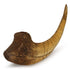 Pumnao Fossilized Teeth and Claws of Various Prehistoric Dinosaurs, Megalodon Shark Teeth, and High-Fidelity Replicas