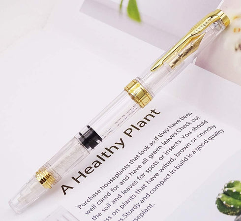 Lanxivi Yongsheng 3011 Demonstrator Clear Classical Fountain Pen, Fine Nib, Piston Filling System, Set of 4