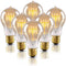 New Lights Warm Edison Light Bulbs, 60 Watt A19 Vintage Incandescent Light Bulbs, Dimmable