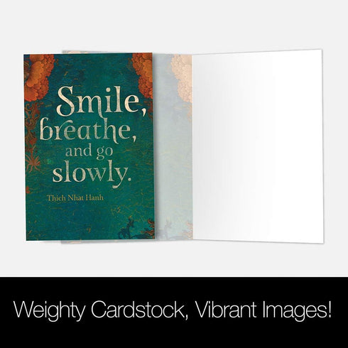 Tree-Free Greetings All Occasion Cards - 12 Artful Designs with White Envelopes, Made in USA, 100% Recycled Paper