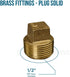 CSTQ0012 1/2-Inch Male National Taper Threads Solid Plug with Square Head, Lead-Free Brass Pipe Fitting, 25 Count