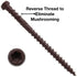 Jake Sales #10 x 2-3/4" MADEIRA Colored Composite Decking Wood Screw, 1 POUND ~75 Screws