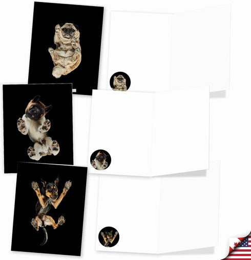 The Best Card Company, 20 Boxed Dog Cards with Envelopes, Blank Assortment (10 Designs)