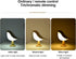 3 Dimmable Bedside Touch Control Table Lamp Aroma Lamps Cute Bird Shaped Led Bedside Desk Lamp with USB Charging Port