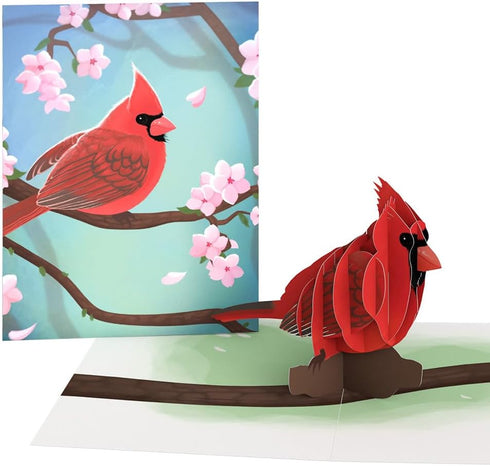 Set 12-Pack) 3D 4.5" 5.9" Lovepop Spring Bird Basket Series Box (Assorted Pop-Up Card for Her and Him - Everyday