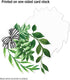 Schoolgirl Style Simply Boho 12-Piece Extra Large Greenery Bulletin Board Cutouts, Greenery Leaves with Black and White