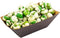 Restaurantware Bio Tek 2 Ounce Food Boats, 50 Disposable Paper Food Trays for Snacks or Appetizers