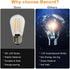 Banord 15 Pack Dimmable 2W S14 Replacement LED Bulbs, 2700K Warm White, Waterproof Outdoor String Lights, E26 Base