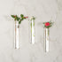 30pcs 35ml Glass Test Tubes 20 x 150mm with Cork Stoppers and Brush for Scientific Experiments and Plant Propagation