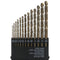 M35 Cobalt Drill Bit Set, 13-Piece Assortment for Hard Metals, Stainless Steel, and Cast Iron, Exceptional Heat