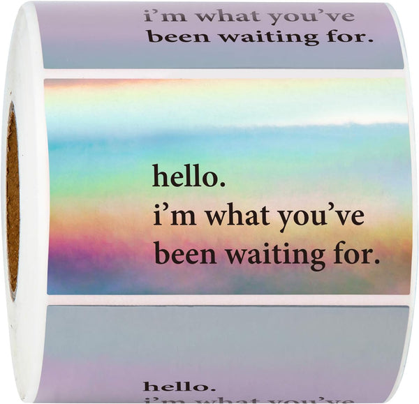 WRAPAHOLIC Hello I'm What You've Been Waiting for Stickers, Black Ink Holographic Silver Labels