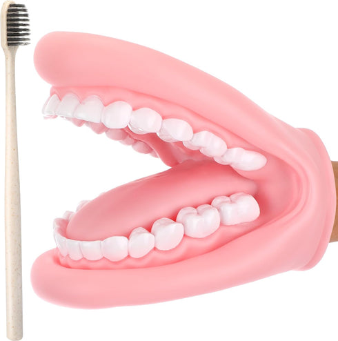 Patelai 1 Pcs Professional Mouth Puppet for Speech Therapy, Hand Operated Dental
