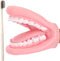 Patelai 1 Pcs Professional Mouth Puppet for Speech Therapy, Hand Operated Dental