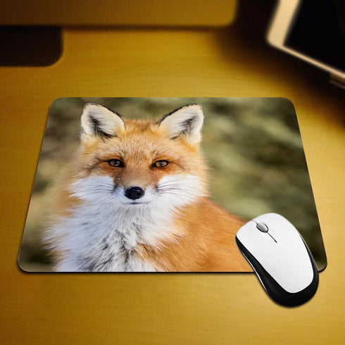 Beautiful Ginger Fox Gaming Mouse Pad, Wild Animal Cub Mum Non-Slip Rubber Mouse Pad for Computers, 9.5 Inch x 7.9 Inch