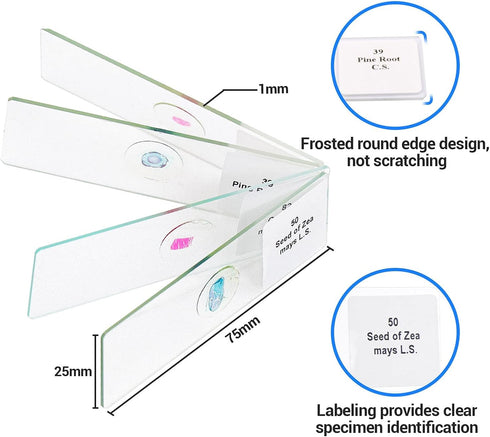 100 Prepared Microscope Slides with Specimens for Kids Adults - Biological Science Lab Samples for School Students