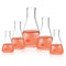 Glass Erlenmeyer Flask Set, Borosilicate Glass 3.3, Includes Vol. 50, 150, 250, 500, 1000ml, Printed Graduation