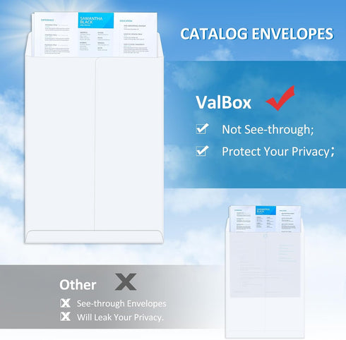 ValBox 6x9 Self Seal Security Catalog Envelopes, 250 Count Small White Envelopes for Mailing and Organizing