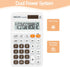 deli 12 Digit Standard Function Basic Calculator, Large LCD Display, Dual Power Office Calculator, White