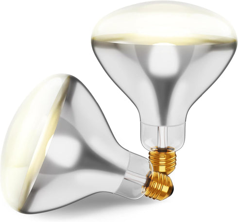 250R40/1 250-Watt, Incandescent R40 Reflector, Clear Head Lamp, Heat Flood Lamp Light