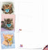 The Best Card Company 20 Cat Greeting Cards (4 x 5.12 Inch) - Assorted Designs (10 Designs, 2 Each) - Cat Pacifiers