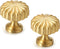 COOLHOOD 2Pcs Drawer Pulls Brass Dressers Knob Cupboard Handle Modern Furniture Handle Round