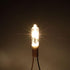 Diximus G4 Low Voltage Halogen Bulbs: 20W Bi-Pin Light Bulbs for Landscape Lighting, 10 Pack