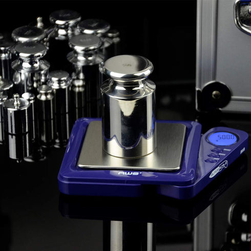 American Weigh Scales 500G Calibration Weight - Chrome Plated Carbon Steel for AWS Digital Scale