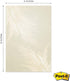 Pampas Grass Sticky Note Pads, 4" x 6" Repositionable Boho Sticky Notes, 50 Sheets Per Pad, Set of 5 Designs, Made in