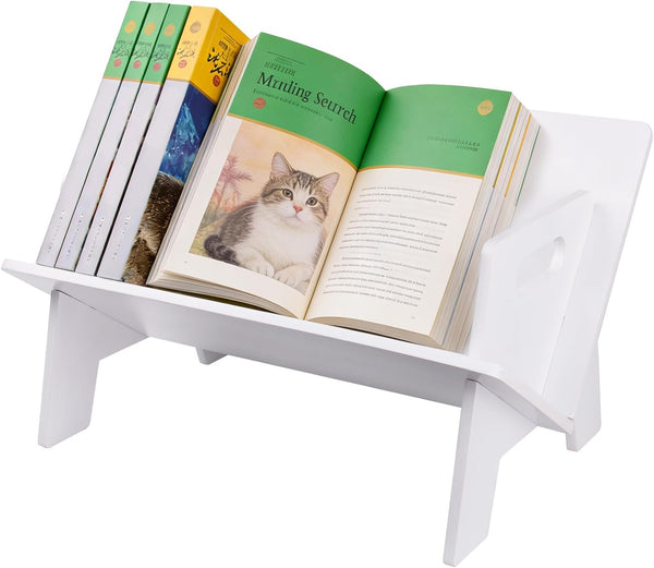 STILTOOL Desktop Small Bookshelf Organizer Wooden Tabletop Mini Bookcase Desk Storage Bookshelves Wood