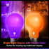 4 Pack LED Light Bulbs: A19 Purple & Orange 9W (60W Replacement) E26 Base for Home, Party, Halloween Lighting