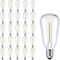 25 Pack Dimmable Edison Light Bulb Warm White 0.6 Watt G40/E12 Screw Base, ST38 LED Shatterproof Bulbs for