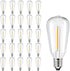 25 Pack Dimmable Edison Light Bulb Warm White 0.6 Watt G40/E12 Screw Base, ST38 LED Shatterproof Bulbs for