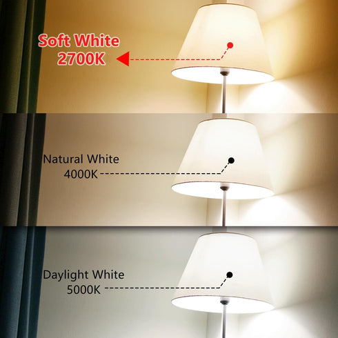 BORT Dimmable LED Edison Bulbs, 6W Equivalent to 60W, E26 2700K Vintage Light Bulbs, 6 Pack