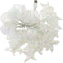 ZDAYOZ 19.69 40 Starfish Shell String Light, ft, Warm White LED, Weatherproof, Battery/USB Powered (USB Interface Shell