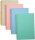 Yansanido Spiral Notebook, 4 Pcs A5 Thick Plastic Hardcover, 80 Sheets - 160 Pages Journals for Study and Notes (Light