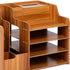 Wooden Desk Organizer - Multifunctional Home Office Art Supplies Organizer, Easy to Assemble (Light MDF Panel)