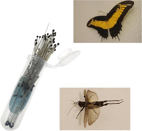 Lind Kitchen 100 40mm 3# Pieces/Can Stainless Steel Pins for Entomology, Dissection and Butterfly Collections