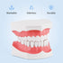 Annhua Large Dental Teeth Model with Denture Toothbrush, 2 Times Brushing Teaching Tools for Kids, Dental Students